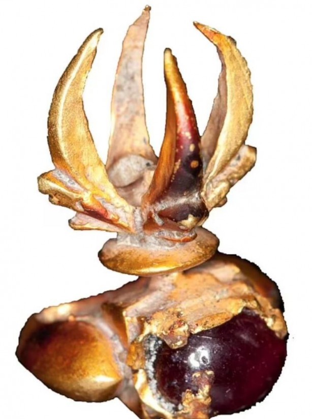 Foto - Kayıp Altın Adası bulundu! Hazineyi onlar çıkardı...