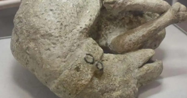 Foto - Kayıp cesetlerin sırrı çözüldü! İnsanlar dakikalar içinde buharlaşmış