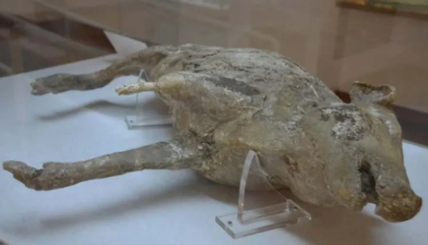 Foto - Kayıp cesetlerin sırrı çözüldü! İnsanlar dakikalar içinde buharlaşmış