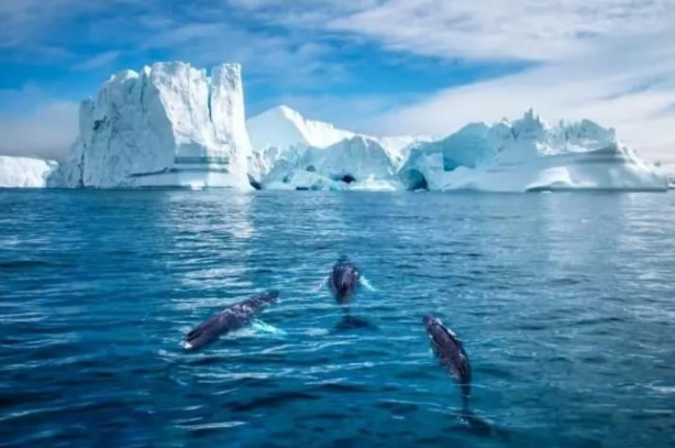 Foto - Kayıp kıta bulundu! Tam 60 milyon yıl önce oluşmuş!