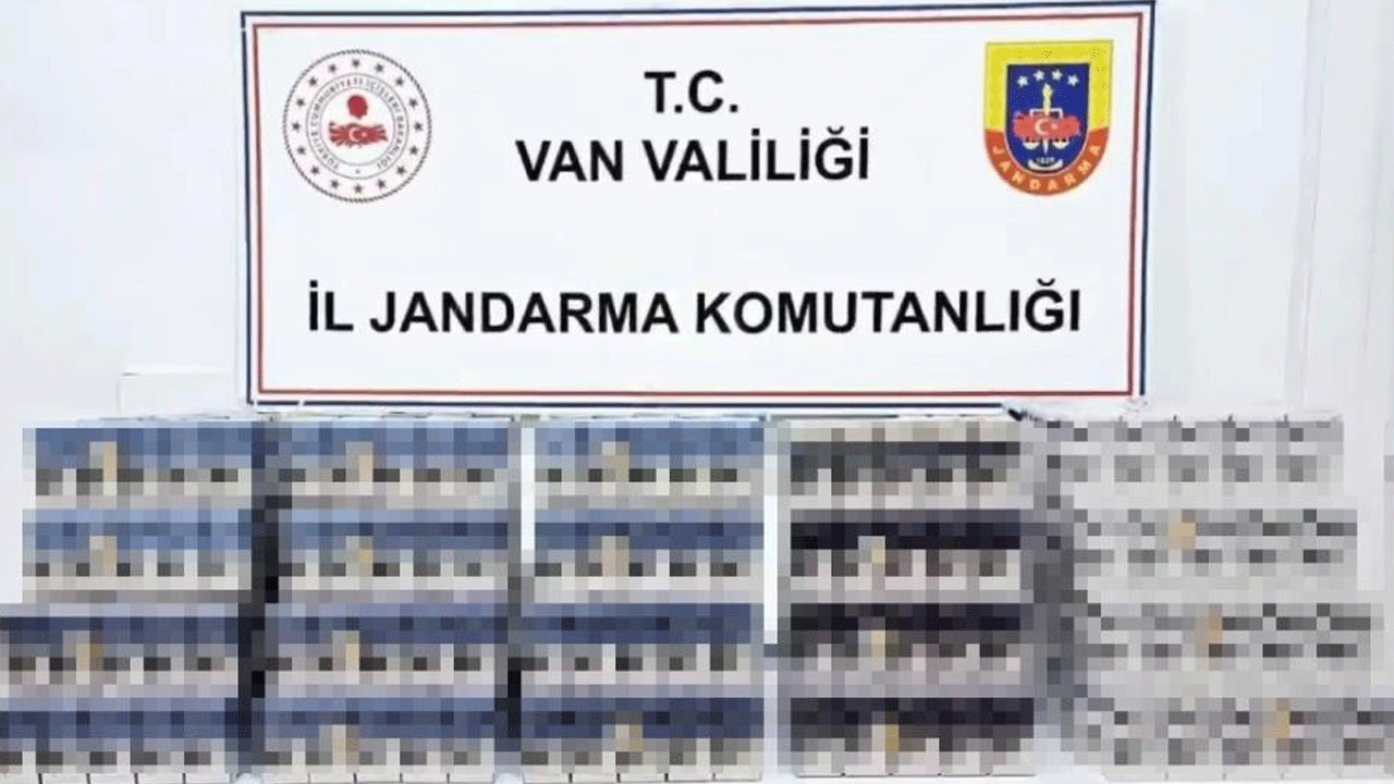 Foto - Kayısı çuvallarının içerisinden çıkan 'pes' dedirtti