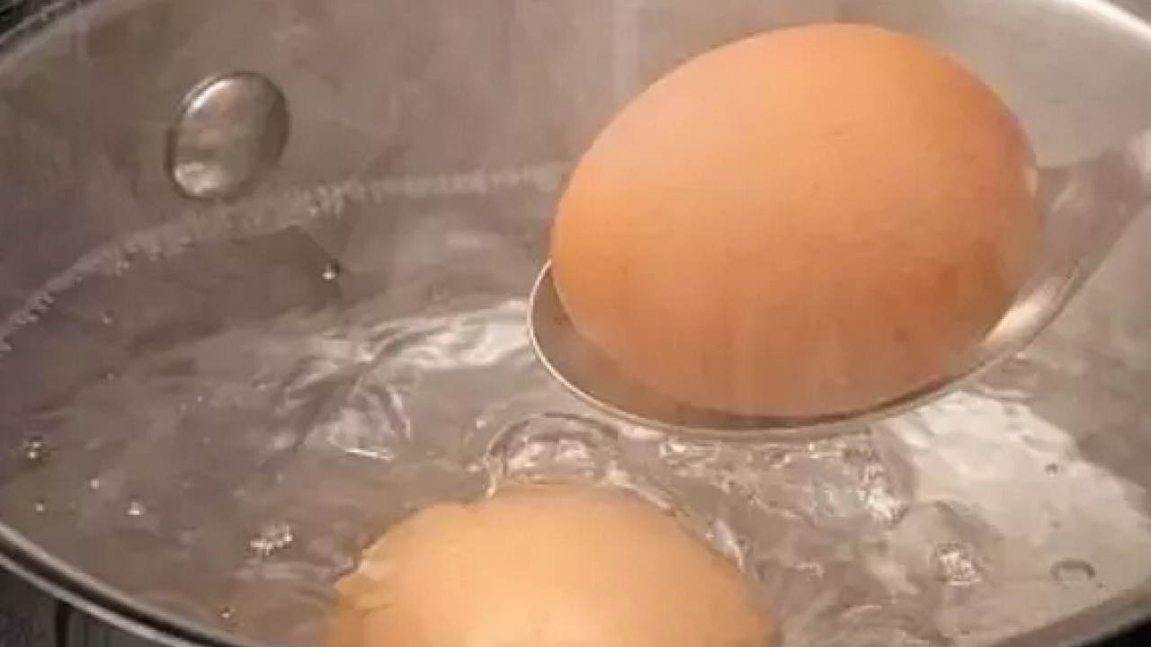 Foto - Kayısı kıvamında yumurta için girdap taktiği! Ünlü şefin önerisi: Yanlış yapmışız meğer 'Sirke gereksiz, yağ şart'