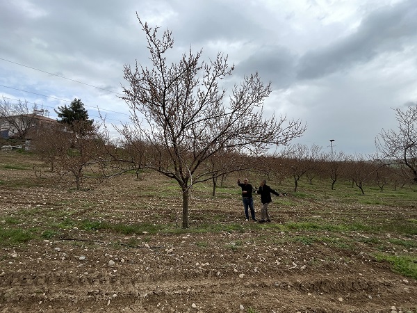 Foto - Kayısı üreticilerinin korkulu rüyası