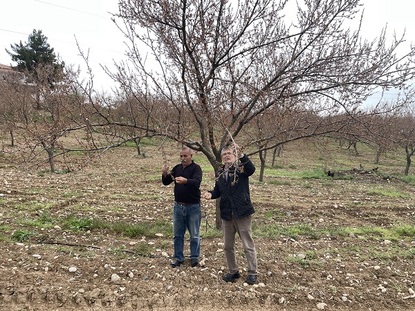 Foto - Kayısı üreticilerinin korkulu rüyası
