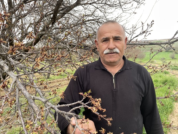 Foto - Kayısı üreticilerinin korkulu rüyası