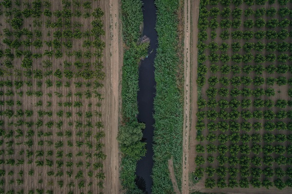 Foto - Kaynağından tertemiz çıkıyor! Nilüfer Çayı nasıl siyah akıyor? 