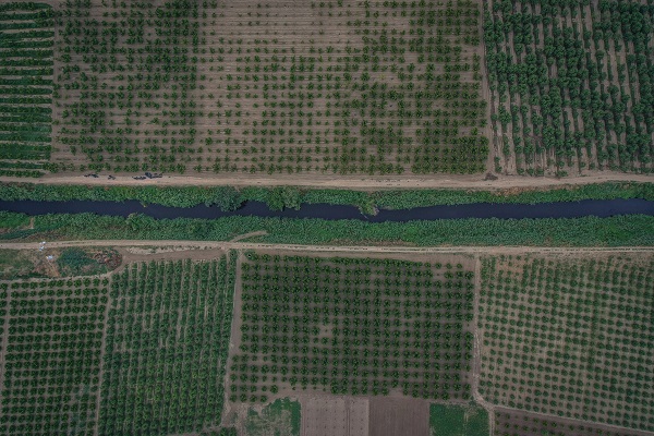 Foto - Kaynağından tertemiz çıkıyor! Nilüfer Çayı nasıl siyah akıyor? 