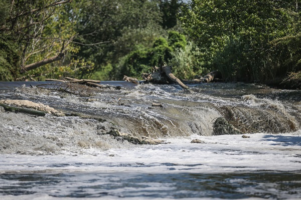 Foto - Kaynağından tertemiz çıkıyor! Nilüfer Çayı nasıl siyah akıyor? 