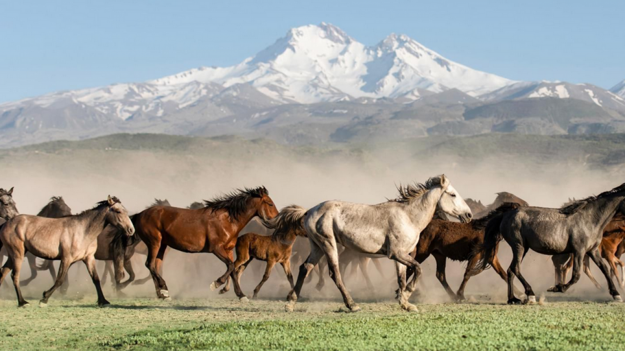 Foto - Kayseri ilk kez Kültür Yolunda: Açılışı Bakan Ersoy gerçekleştirdi…
