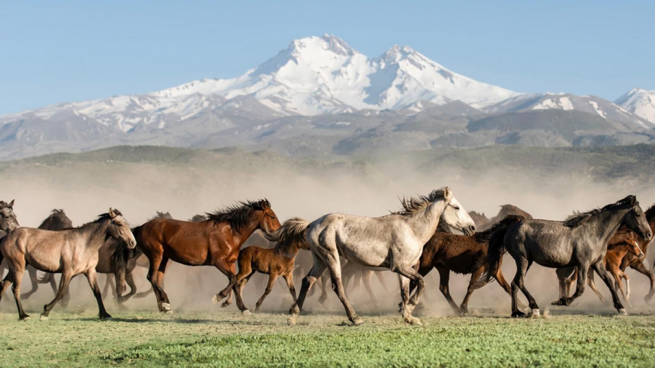 Foto - Kayseri ilk kez Kültür Yolu'nda: Sanat, müzik ve lezzet şöleni...