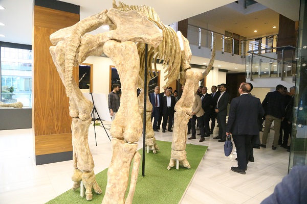 Foto - Kayseri'de bulundu! 7,5 milyon yıllık