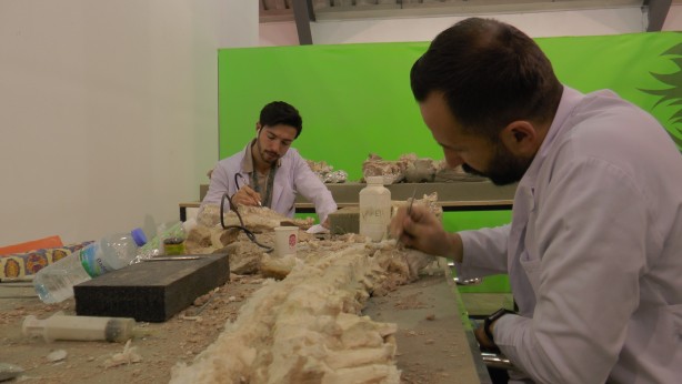 Foto - Kayseri'de bulundu! Tamı tamına 7,5 milyon yıllık