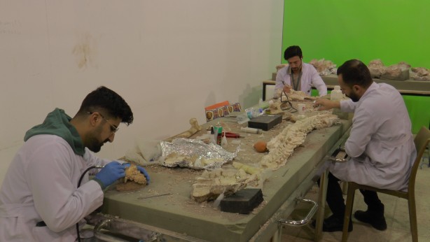 Foto - Kayseri'de bulundu! Tamı tamına 7,5 milyon yıllık