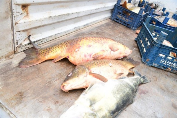 Foto - Kayseri'de ele geçirildi!