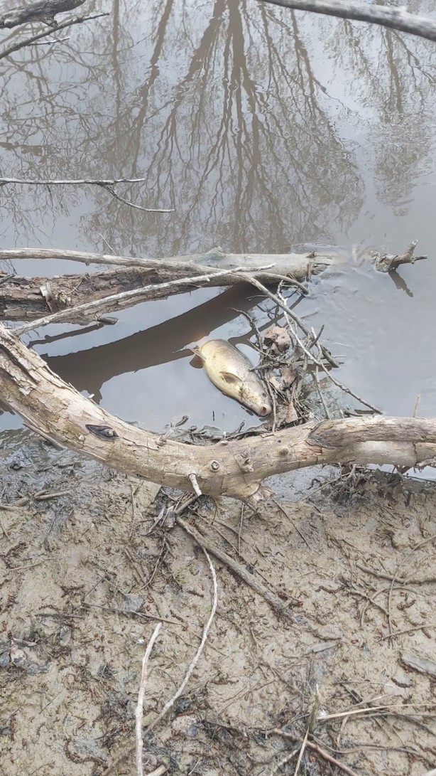 Foto - Kayseri'de endişelendiren görüntü