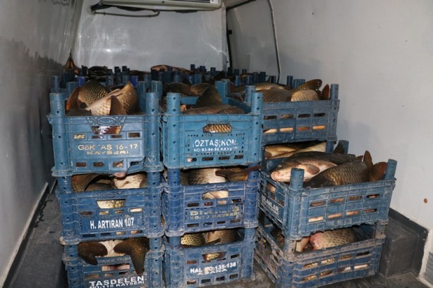 Foto - Kayseri'de kaçak avlanılan 1,5 ton balık ele geçirildi