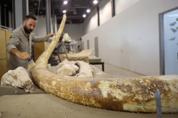 Foto - Kayseri'de yakında gözlerinize inanamayacaksınız! Milyonlarca yıllık fosiller şok edecek... O müzeye akın!