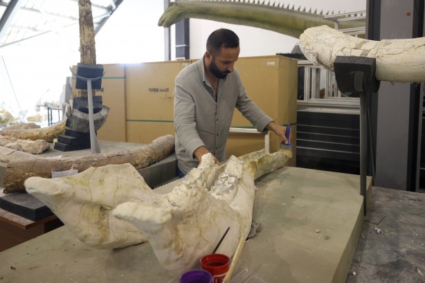 Foto - Kayseri'de yakında gözlerinize inanamayacaksınız! Milyonlarca yıllık fosiller şok edecek... O müzeye akın!