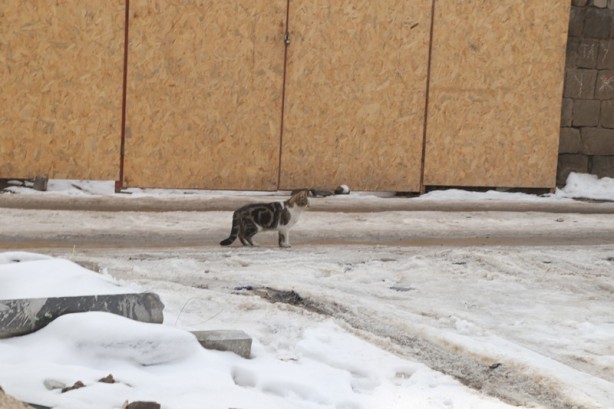 Foto - Kayseri'nin gözde ilçesi: Talas