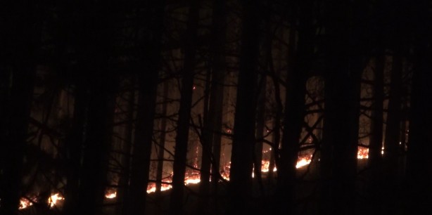 Foto - Kaz Dağları’nda ormanlık alanda örtü yangını çıktı