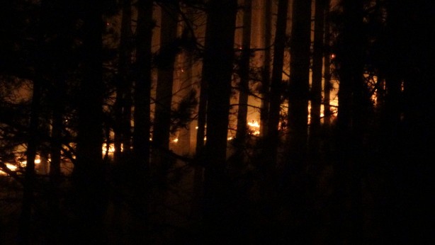 Foto - Kaz Dağları’nda ormanlık alanda örtü yangını çıktı