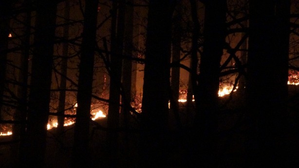 Foto - Kaz Dağları’nda ormanlık alanda örtü yangını çıktı