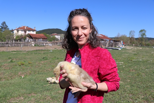 Foto - Kaz yetiştiriciliği üreticilerin yeni gelir kapısı oldu
