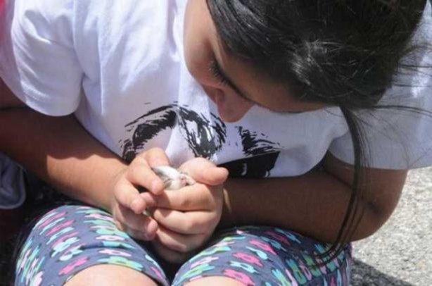 Foto - Kaza geçirdi ama kedisini bırakmadı