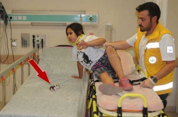 Foto - Kaza geçirdi ama kedisini bırakmadı