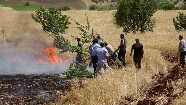 Foto - Kaza sonrası buğday tarlaları cayır cayır yandı