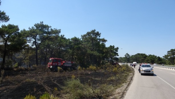 Foto - Kaza yapan araçta başlayan yangın ormana sıçradı