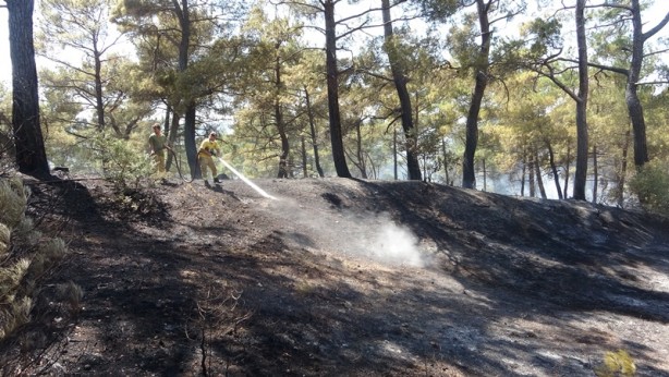 Kaza yapan araçta başlayan yangın ormana sıçradı