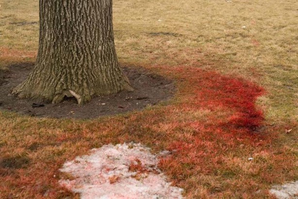 Foto - Kazakistan'dan korkunç görüntüler! Ruslar ayak bastı