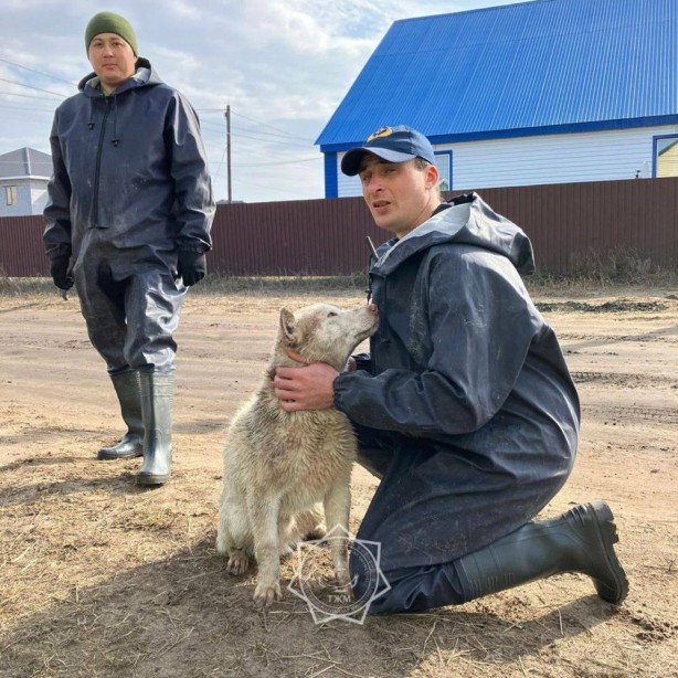 Foto - Kazakistan'dan kötü haber