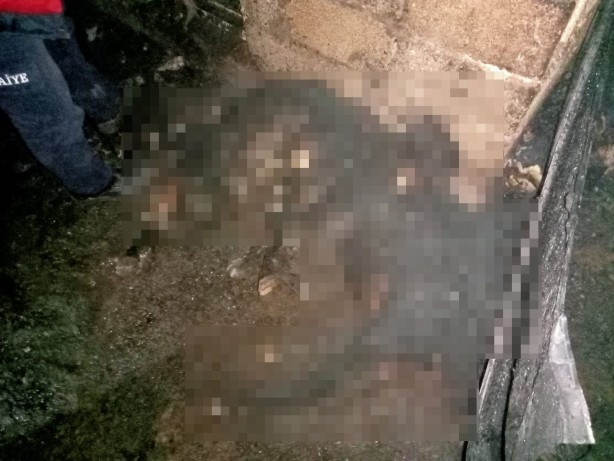 Foto - Kazan dairesinde yangın: 16 küçükbaş hayvan telef oldu