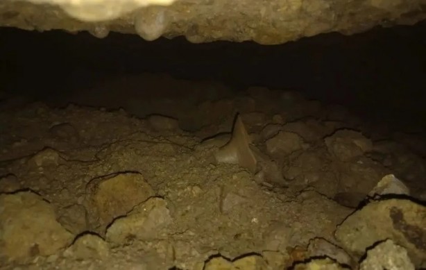 Foto - Kazayla ortaya çıktı! Aynı yerden 2 kere adeta hazine bulundu