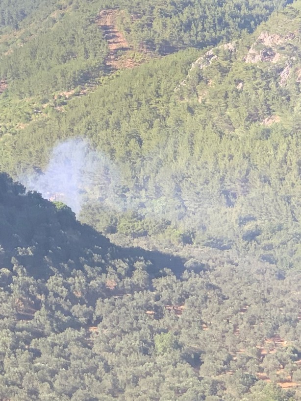 Kazdağı Milli Parkı yakınlarında yangın! Kontrol altına alındı