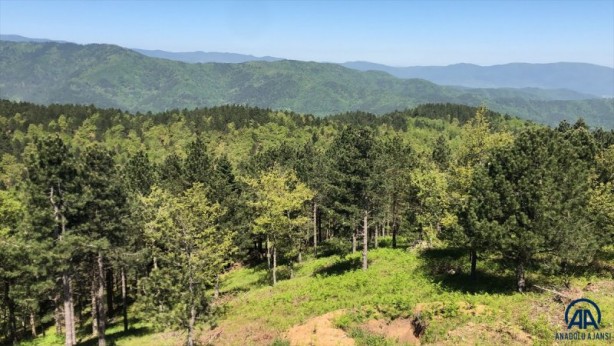 Foto - Kazdağları doğal güzelliğiyle öne çıkıyor