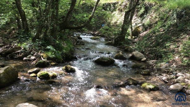 Foto - Kazdağları doğal güzelliğiyle öne çıkıyor