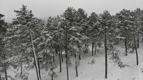 Foto - Kazdağları dronla görüntülendi