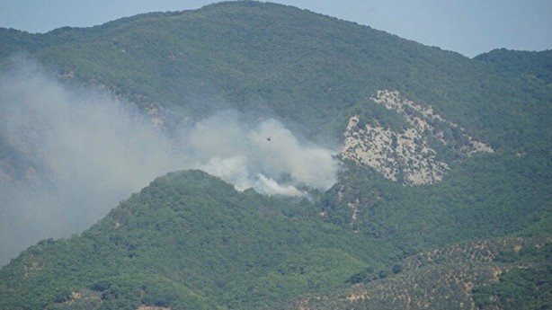 Kazdağları'nda orman yangını