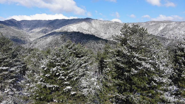 Foto - Kazdağları'ndan tabloluk manzaralar