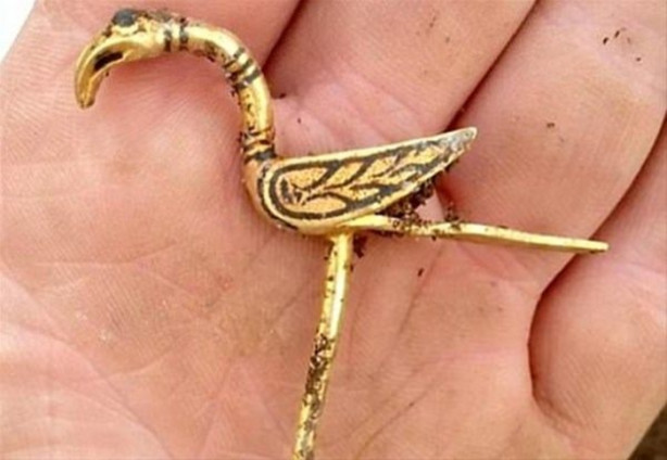 Foto - Kazdıkça topraktan servet çıktı!