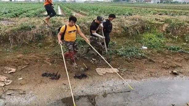 Foto - Kazdıkları delikten dev anakonda böyle fırladı! Uzunluğunu görenler dehşeti yaşadı! Tam kış uykusundayken...