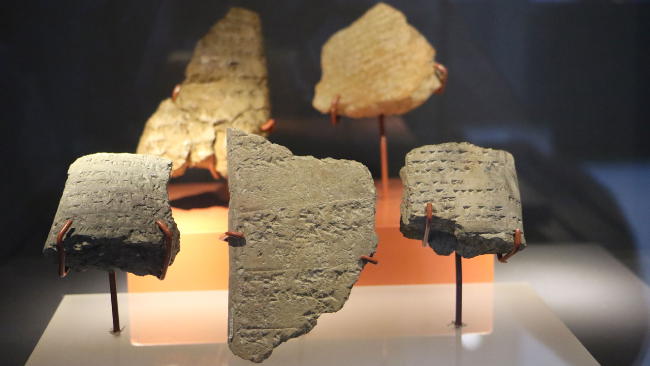 Foto - Kazı alanında şaşırtan keşif! 3 bin yıllık fındık kabukları gün yüzüne çıktı