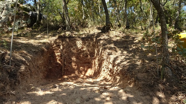 Foto - Kazı çalışmaları sürüyor! 86 bin yıllık büyük keşif