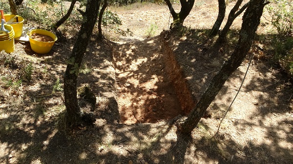 Kazı çalışmaları sürüyor! 86 bin yıllık büyük keşif