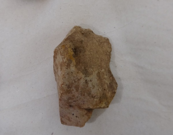 Foto - Kazı çalışmaları sürüyor! 86 bin yıllık büyük keşif