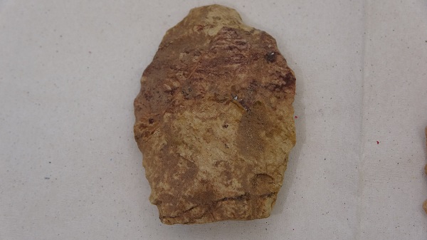 Foto - Kazı çalışmaları sürüyor! 86 bin yıllık büyük keşif