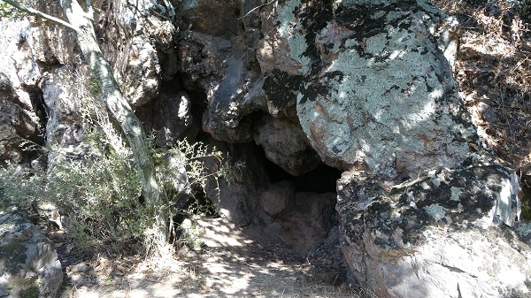 Foto - Kazı çalışmaları sürüyor! 86 bin yıllık büyük keşif